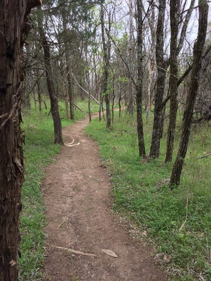 A winding dirt path leads through a wooded area, surrounded by trees with sparse foliage and patches of green grass. The scene is calm and inviting, with a few fallen branches scattered along the trail. Knucklehead mountain bike trail.