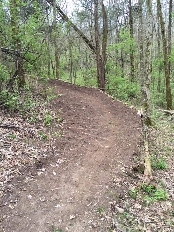 A winding dirt trail through a dense forest, surrounded by trees and greenery, with freshly turned soil and scattered leaves along the path. Knucklehead mountain bike trail.
