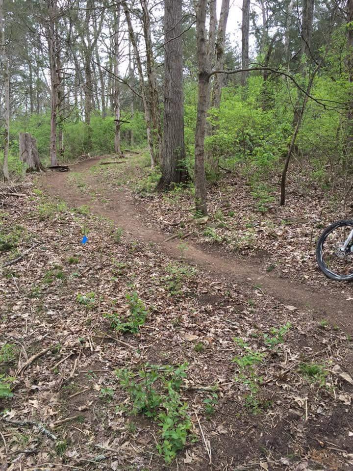 A dirt trail winding through a wooded area, surrounded by trees and greenery. The path is slightly worn, indicating regular use, with patches of leaves and small plants on either side. A blue marker can be seen along the trail, and part of a bicycle wheel is visible on the right side of the image. Knucklehead mountain bike trail.