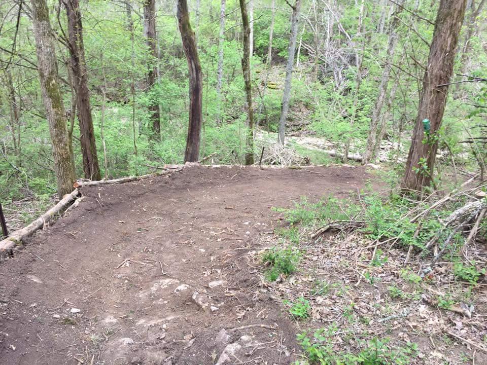 A cleared area in a lush green forest, showing a dirt path leading downwards. Surrounding trees are in various stages of growth with fresh leaves, and there are scattered rocks and small plants on the ground. Knucklehead mountain bike trail.