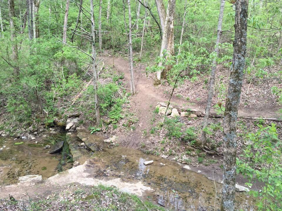 A peaceful forest scene with a rocky stream flowing through a lush green landscape. A dirt trail winds through the trees, leading over the stream and into the surrounding foliage. Sunlight filters through the leaves, creating a serene and inviting atmosphere. Knucklehead mountain bike trail.