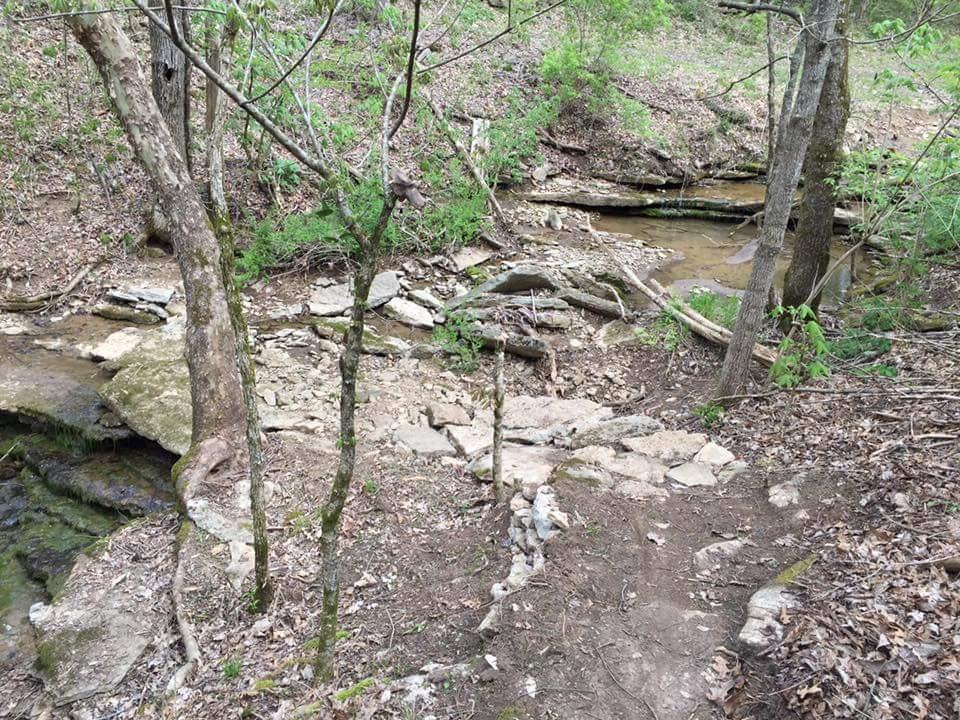 A serene woodland scene featuring a rocky pathway leading to a small stream, surrounded by trees and lush greenery. The terrain includes scattered stones and patches of dried leaves, creating a natural setting for outdoor exploration. Knucklehead mountain bike trail.