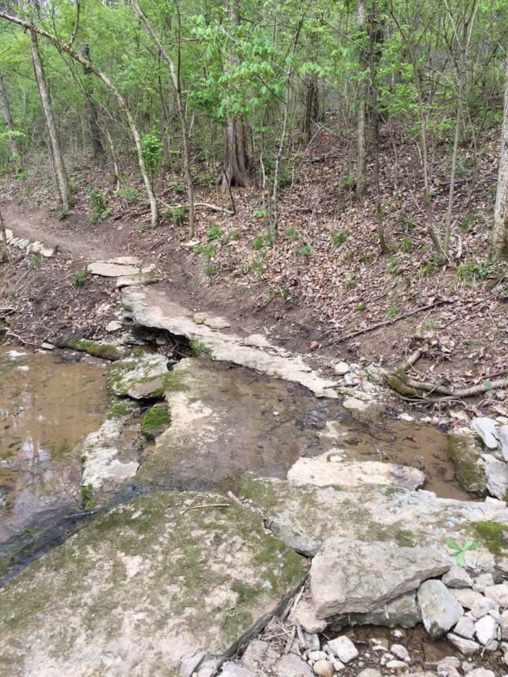 A rocky path crossing a shallow stream in a wooded area, surrounded by dense green foliage and trees. Leaves are scattered on the ground, indicating a natural, untouched environment. Knucklehead mountain bike trail.
