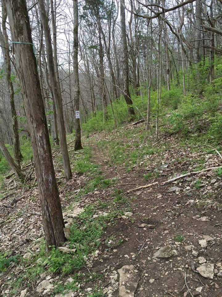 A narrow dirt trail winding through a wooded area with bare trees and emerging green foliage. The path is flanked by rocky ground and patches of grass, indicating the onset of spring. A sign is visible alongside the trail. Knucklehead mountain bike trail.