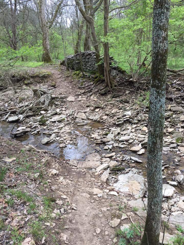 A serene forest scene featuring a narrow dirt path winding through greenery, alongside a rocky stream. A stone wall is partially visible on the left, surrounded by trees and fresh foliage, suggesting a tranquil outdoor setting. Knucklehead mountain bike trail.
