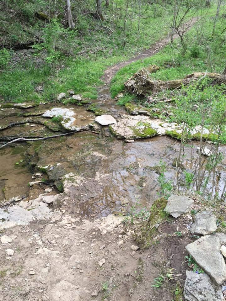 A narrow, winding dirt path beside a small stream flows through a lush green forest. The stream is shallow and bordered by moss-covered rocks, while greenery and young plants surround the area. Sunlight filters through the trees, creating a serene and inviting natural landscape. Knucklehead mountain bike trail.