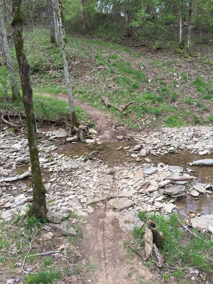 A narrow dirt path leads through a lush, green forest, crossing a rocky stream. The ground is uneven, with scattered stones and patches of grass. Trees line the path on both sides, creating a natural and serene landscape. Knucklehead mountain bike trail.