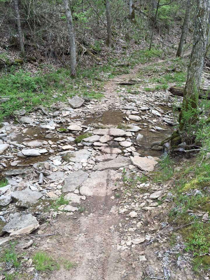 A rocky hiking trail alongside a small stream in a wooded area, featuring patches of green grass and trees lining both sides. The path is uneven with large stones and pebbles, leading through a serene natural environment. Knucklehead mountain bike trail.