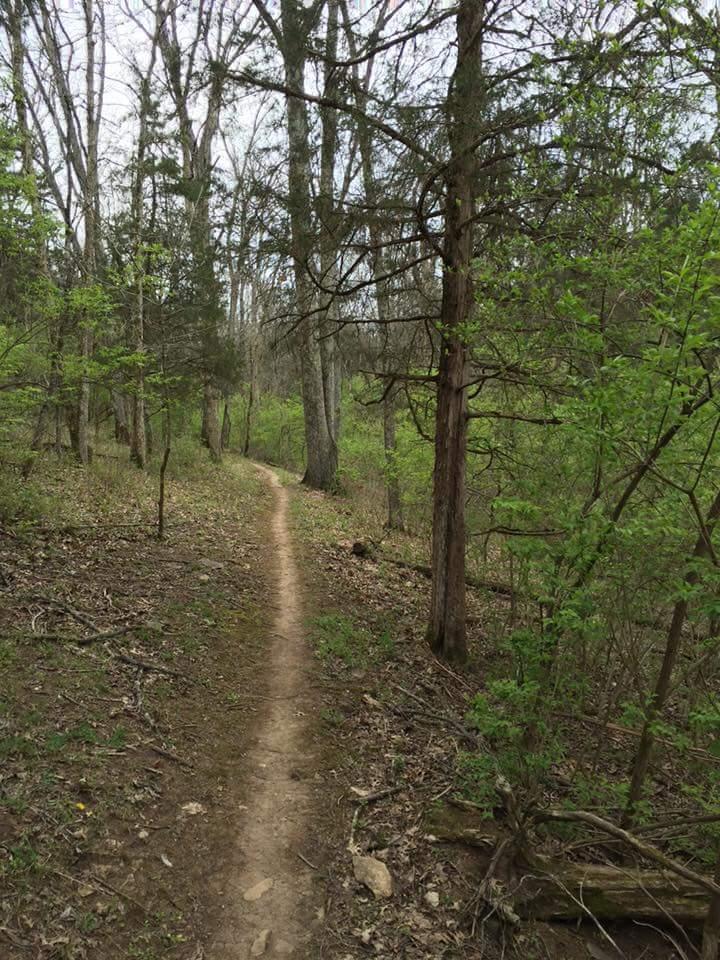 A scenic dirt path winding through a lush green forest, flanked by tall trees and budding foliage, under a cloudy sky. Knucklehead mountain bike trail.