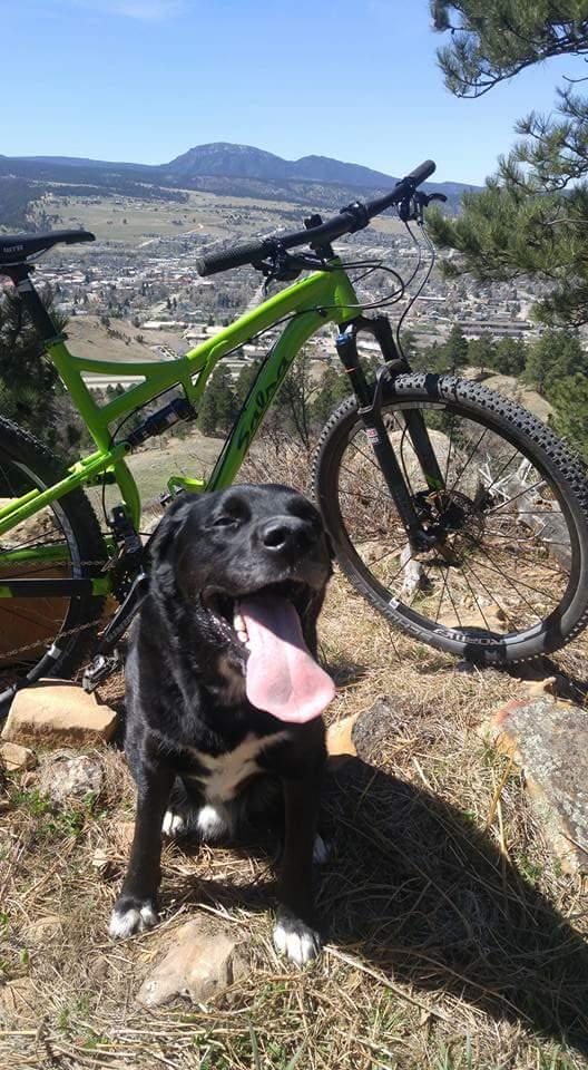 Salsa Spearfish: A black dog with a white chest spot, sitting with its mouth open and tongue out, in front of a green mountain bike. The background features a scenic view of hills and mountains under a blue sky.