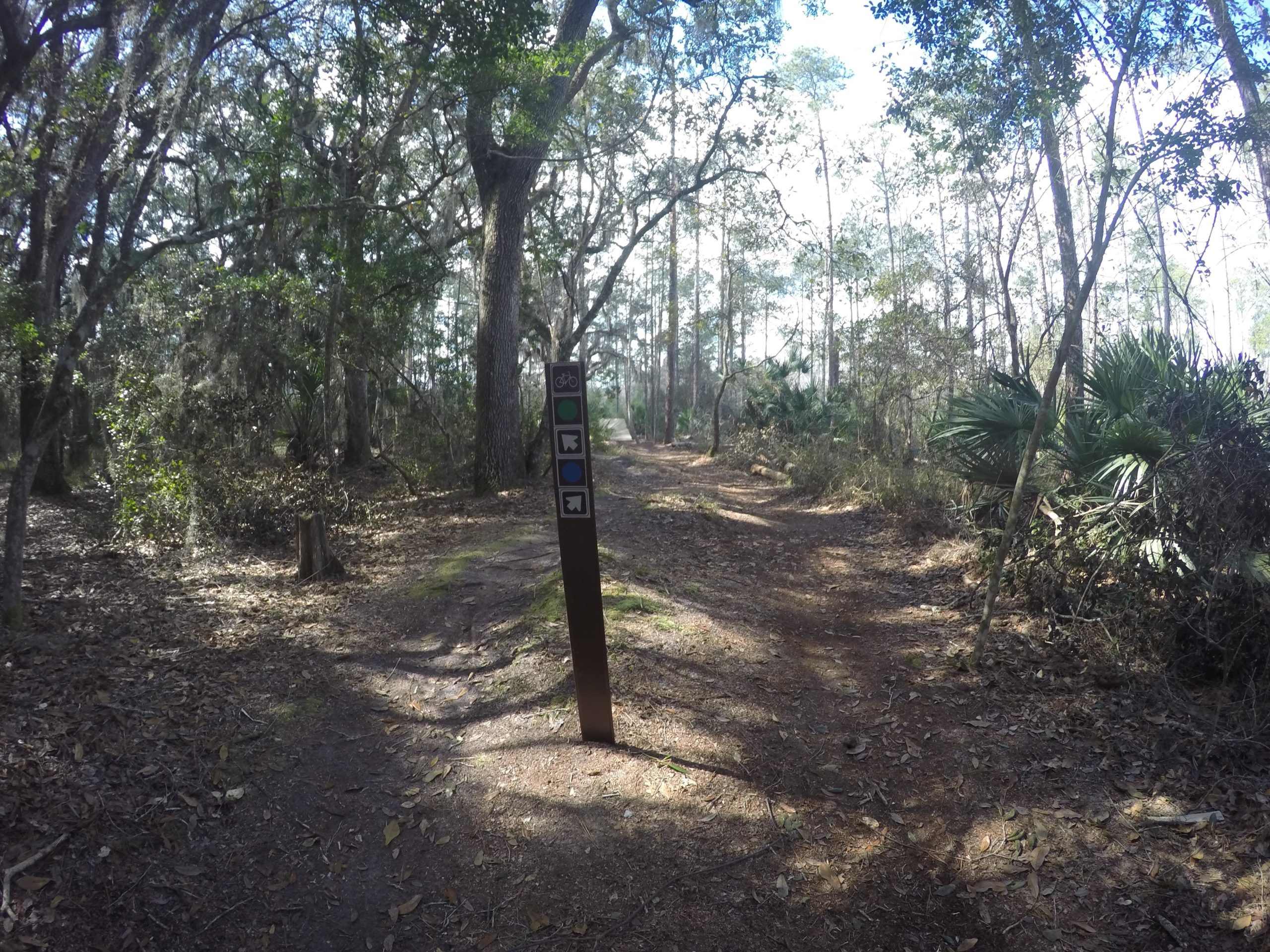 A scenic trail path in a wooded area, featuring a directional sign with icons for biking and hiking. The trail is surrounded by lush greenery and tall trees, with dappled sunlight filtering through the leaves. Nocatee mountain bike trail.