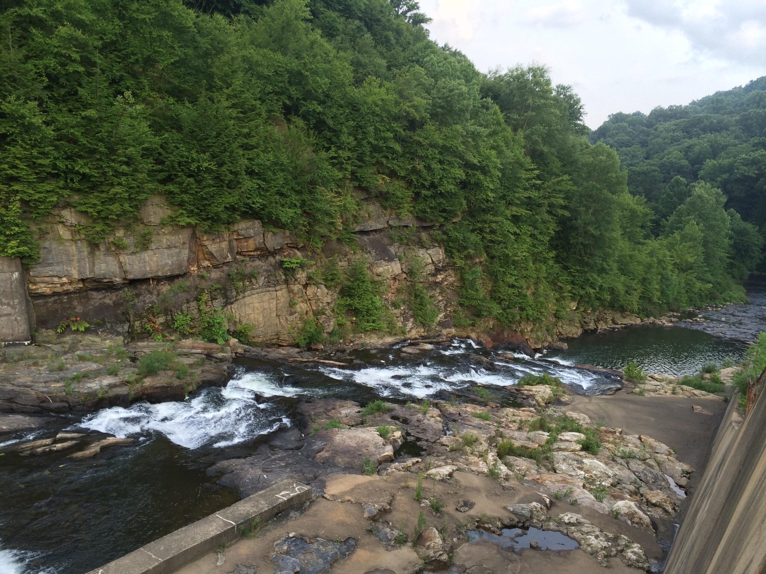 A scenic view of a rocky riverbank lined with lush green trees and a gently flowing river. The image shows rapids cascading over stones, with a rocky shore in the foreground and steep, forested hills in the background under a partly cloudy sky. Yellow Creek State Park mountain bike trail.