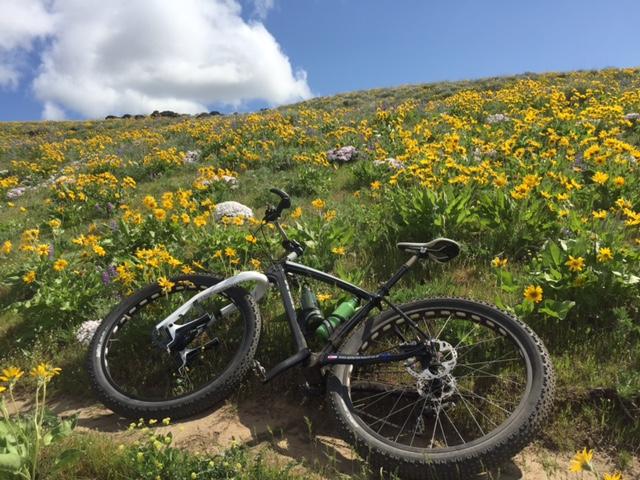 Borealis Yampa: A mountain bike resting on a grassy slope covered with vibrant yellow wildflowers, under a blue sky with scattered clouds.