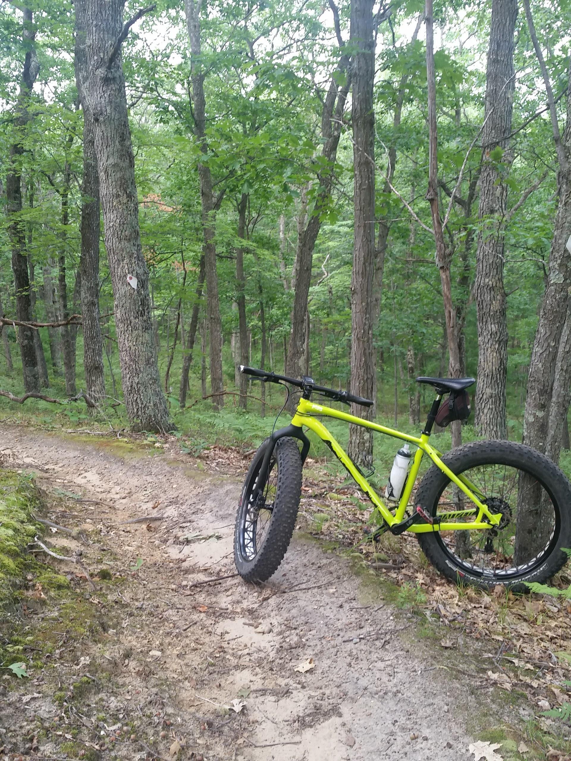Specialized Fatboy: A bright yellow fat bike is parked on a dirt trail surrounded by lush green trees in a forested area. The trail is slightly winding, with patches of moss and fallen leaves on the ground, creating a serene outdoor setting for biking or hiking.