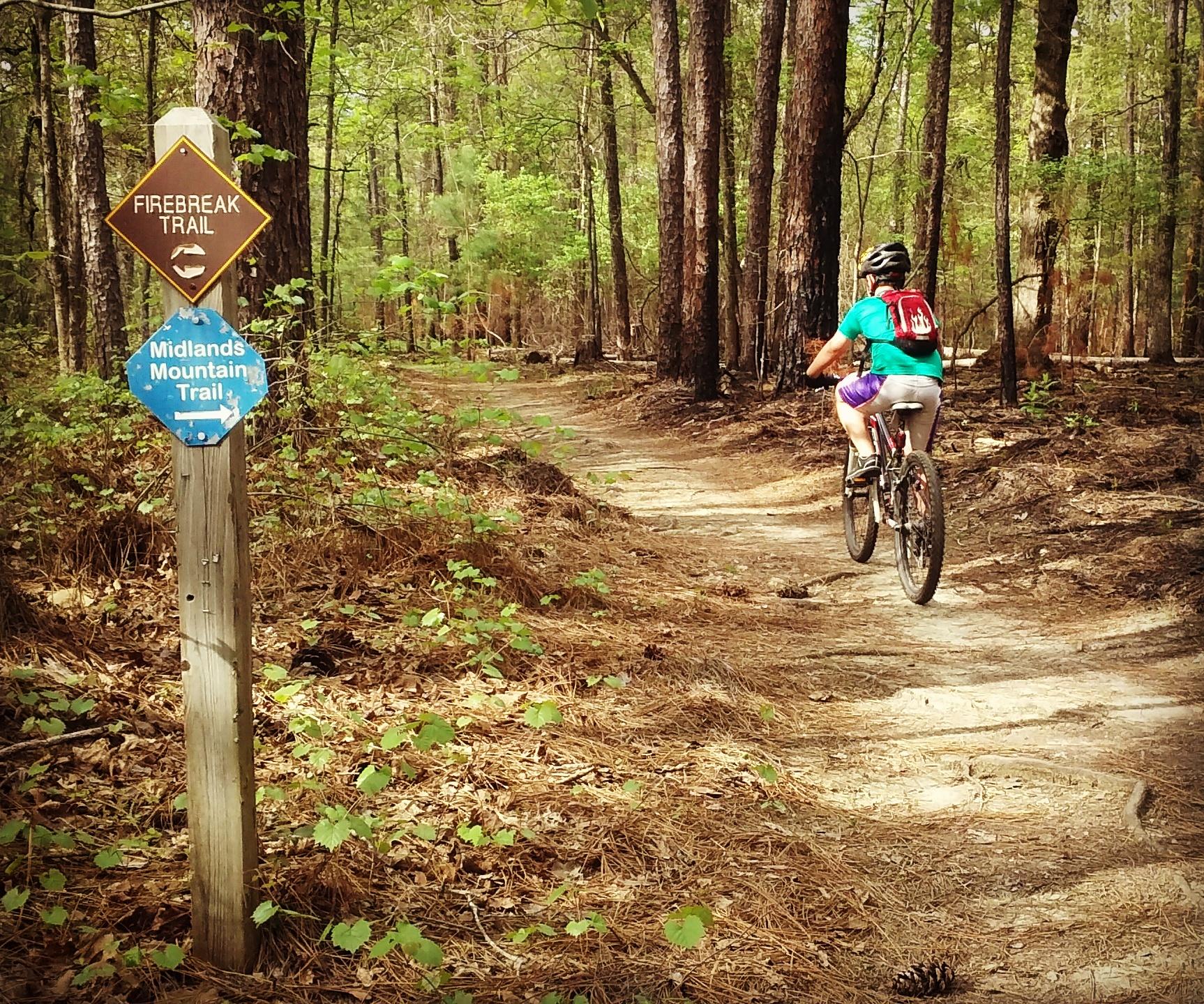 A person riding a mountain bike on a dirt trail surrounded by trees, with trail signs for "Firebreak Trail" and "Midlands Mountain Trail" visible in the foreground. Harbison State Forest mountain bike trail.