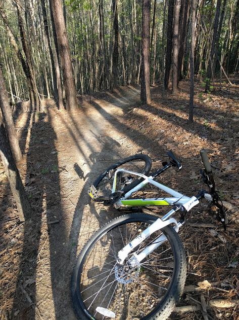 A mountain bike lying on a dirt trail surrounded by trees, with long shadows cast in the afternoon light. The trail winds through a forested area, partially covered in fallen pine needles. Haw Creek Park mountain bike trail.