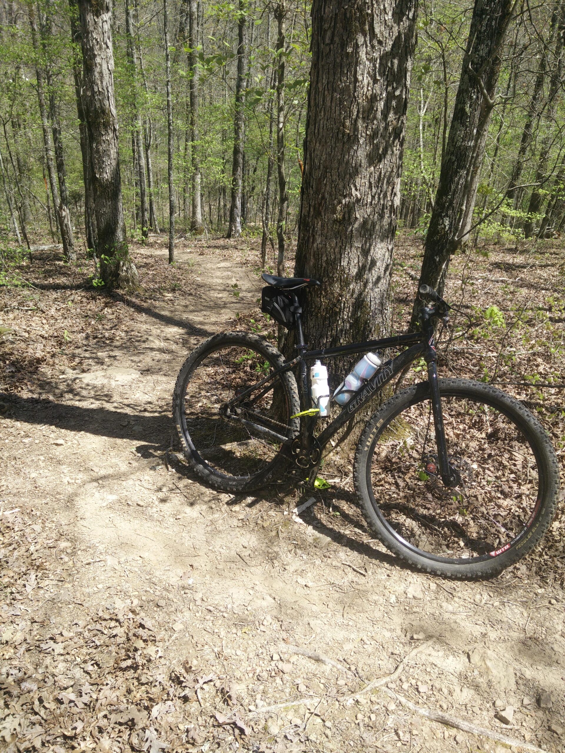 A black mountain bike leaning against a tree on a dirt trail surrounded by greenery in a forest. Sunlight filters through the trees, illuminating the path ahead. A water bottle is mounted on the bike frame. Enders Fault mountain bike trail.