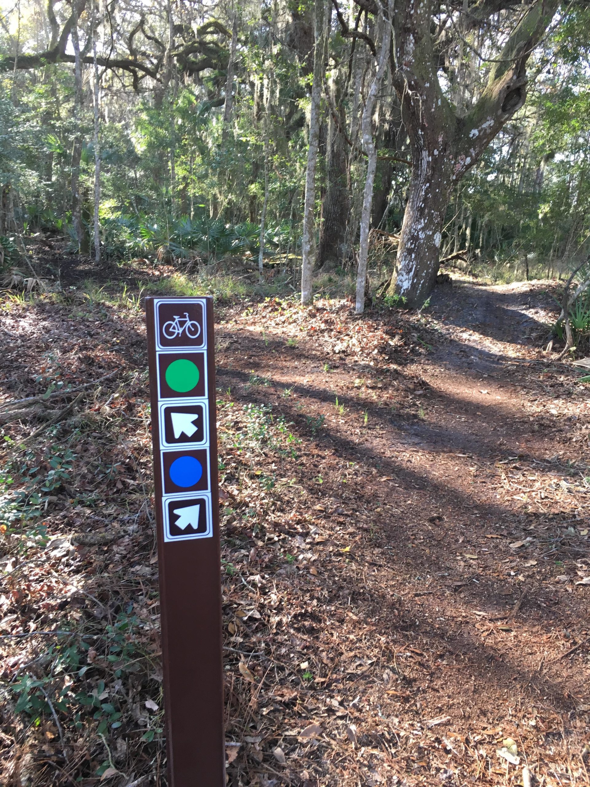 A brown trail sign featuring symbols for biking and directional arrows, situated along a dirt path surrounded by trees and undergrowth in a forested area. The sign displays a bicycle symbol, a green circle, and blue and green arrows indicating the pathway. Nocatee mountain bike trail.
