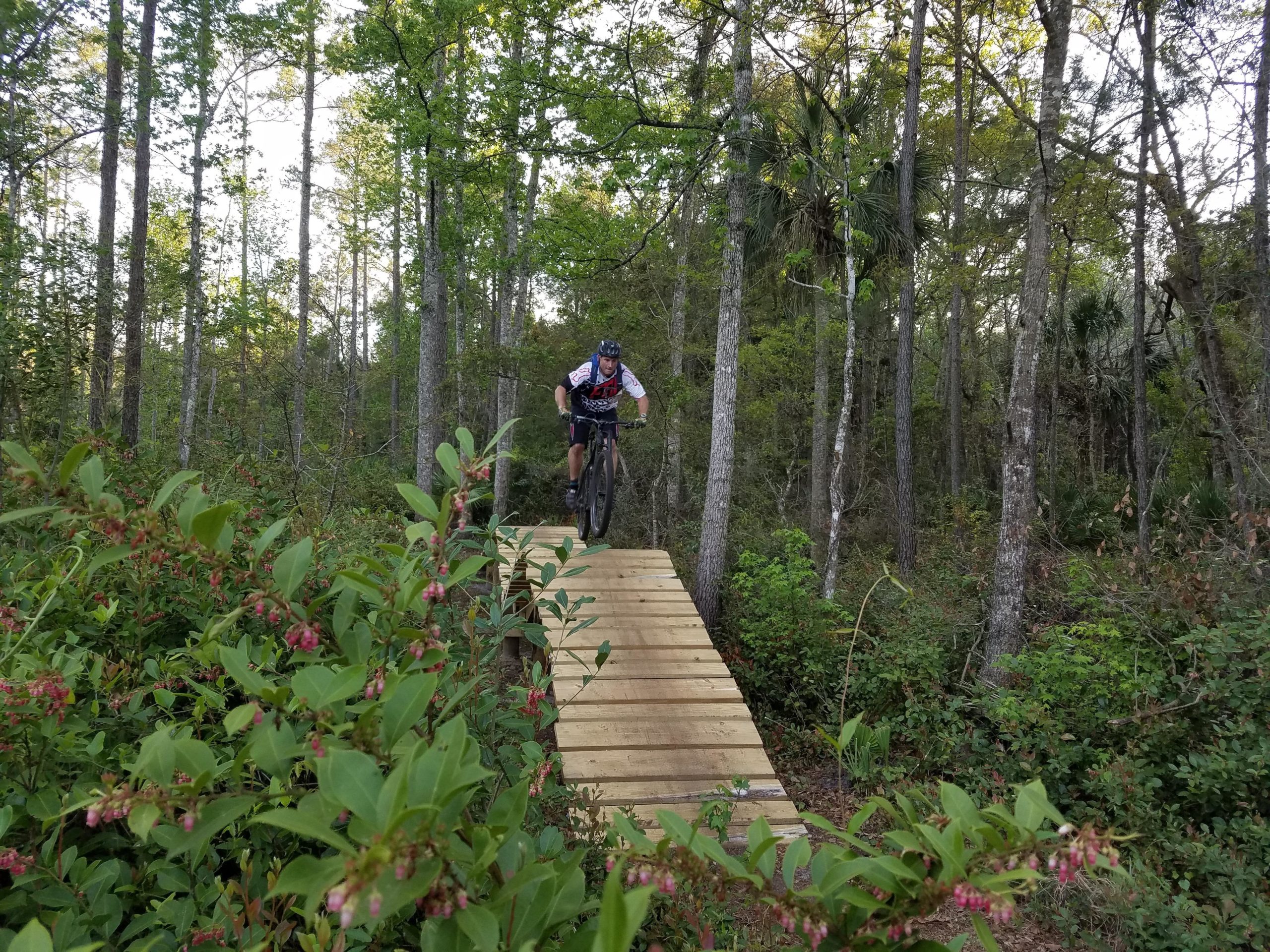 A mountain biker in a helmet and jersey jumps off a wooden ramp in a lush green forest, surrounded by trees and flowering plants. Nocatee mountain bike trail.