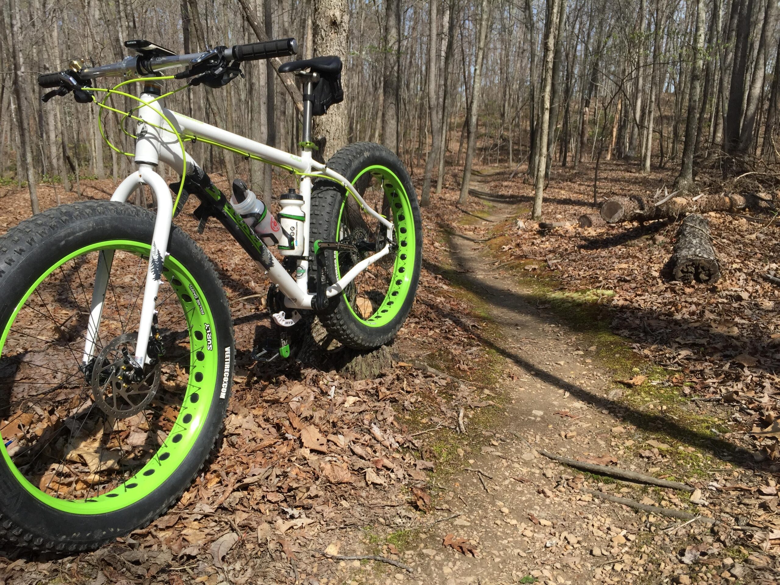 Salsa Mukluk: A fat tire bicycle with bright green rims is positioned on a dirt trail in a wooded area. The ground is covered with brown leaves, and there are trees in the background. A water bottle is mounted on the bike frame, and the scene is illuminated by sunlight, suggesting a clear day for outdoor biking.