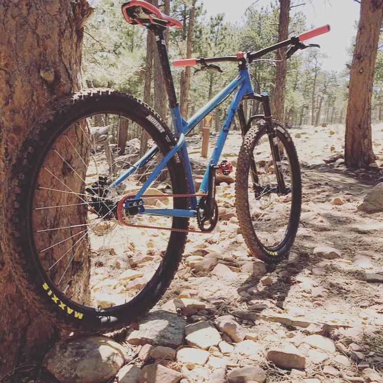 Spot Rocker Spot: A blue mountain bike leaning against a tree, set in a rocky outdoor environment with pine trees in the background.