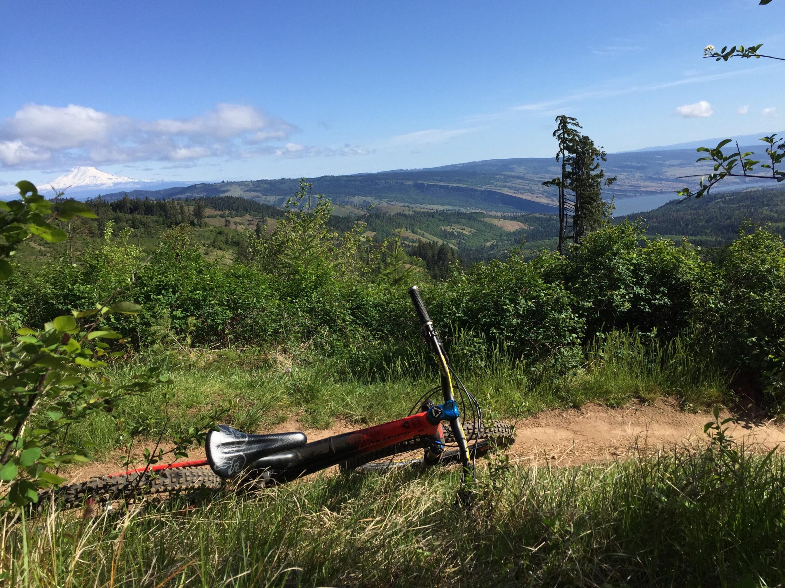 A mountain bike rests on a dirt path surrounded by lush greenery, with a panoramic view of rolling hills and a body of water in the distance. Snow-capped mountains are visible against a clear blue sky, creating a picturesque outdoor scene. Whoopdee mountain bike trail.