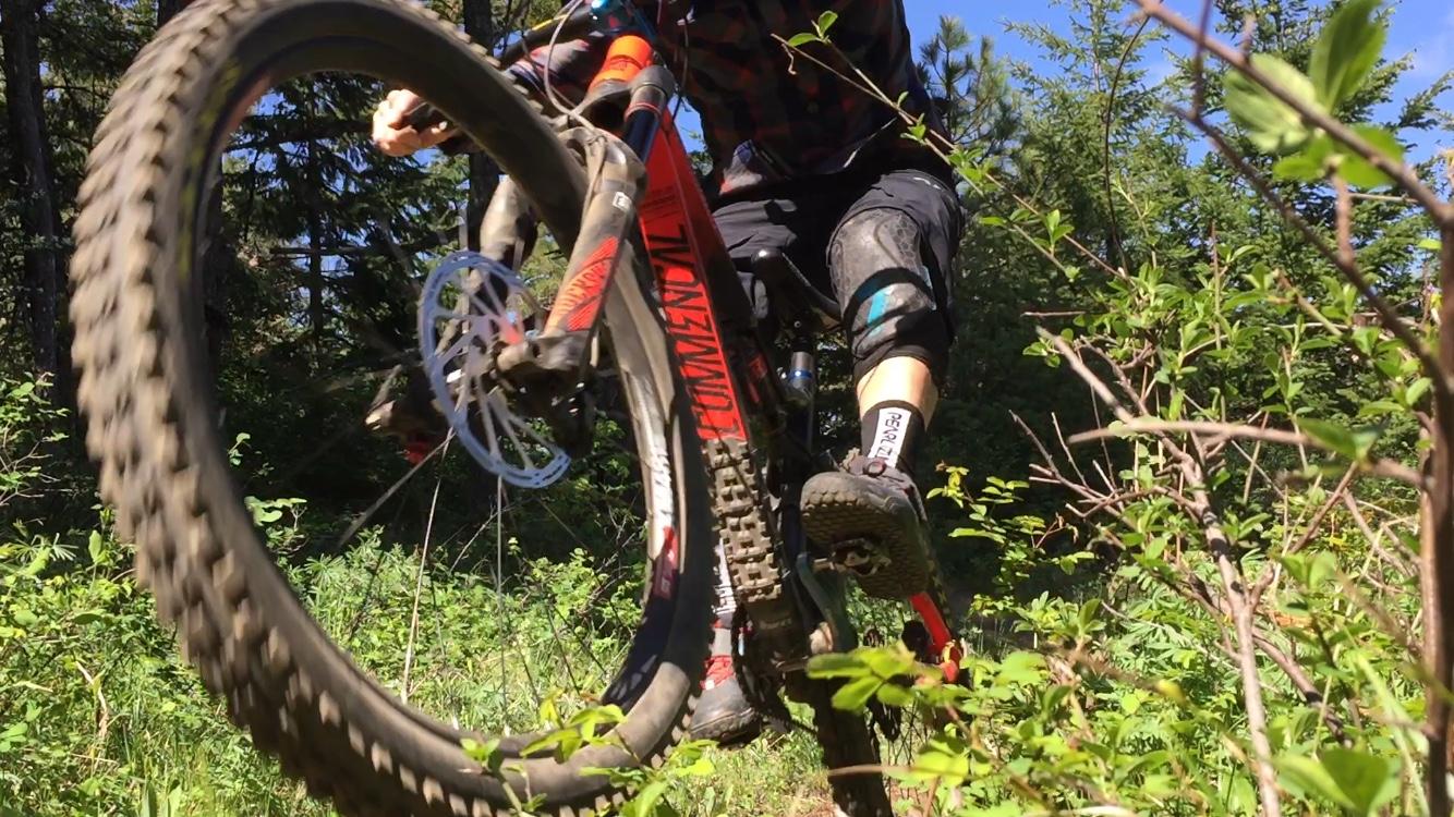 A mountain biker performing a jump on a trail surrounded by greenery, with the front wheel raised off the ground and the biker's feet positioned on the pedals. The scene captures the action and enthusiasm of mountain biking in a natural setting. Whoopdee mountain bike trail.