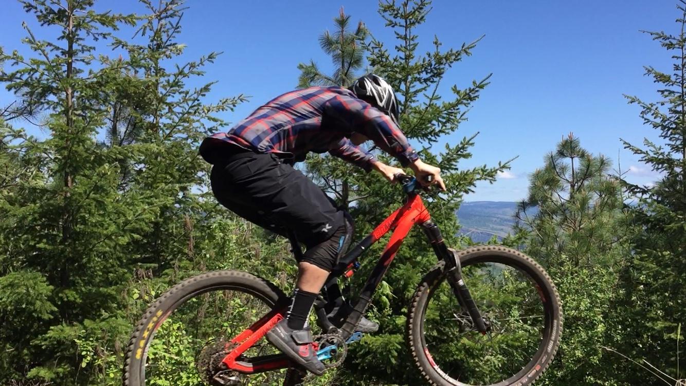 A person on a mountain bike performing a jump over a trail in a densely wooded area, with trees and a clear blue sky in the background. The rider is wearing a helmet and a plaid shirt, showcasing a dynamic biking maneuver. Whoopdee mountain bike trail.