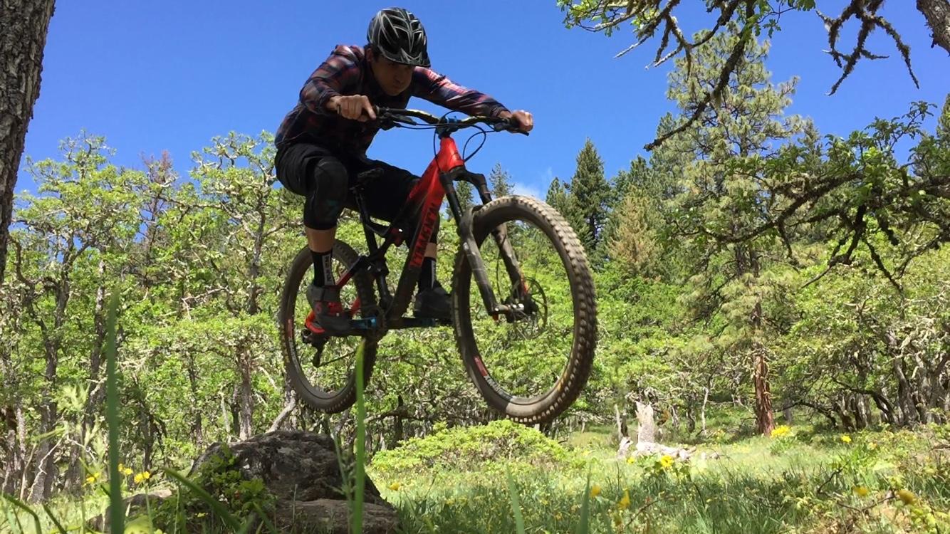 A mountain biker mid-jump over a rock, capturing dynamic movement in a lush forest setting with green trees and blue sky in the background. Whoopdee mountain bike trail.
