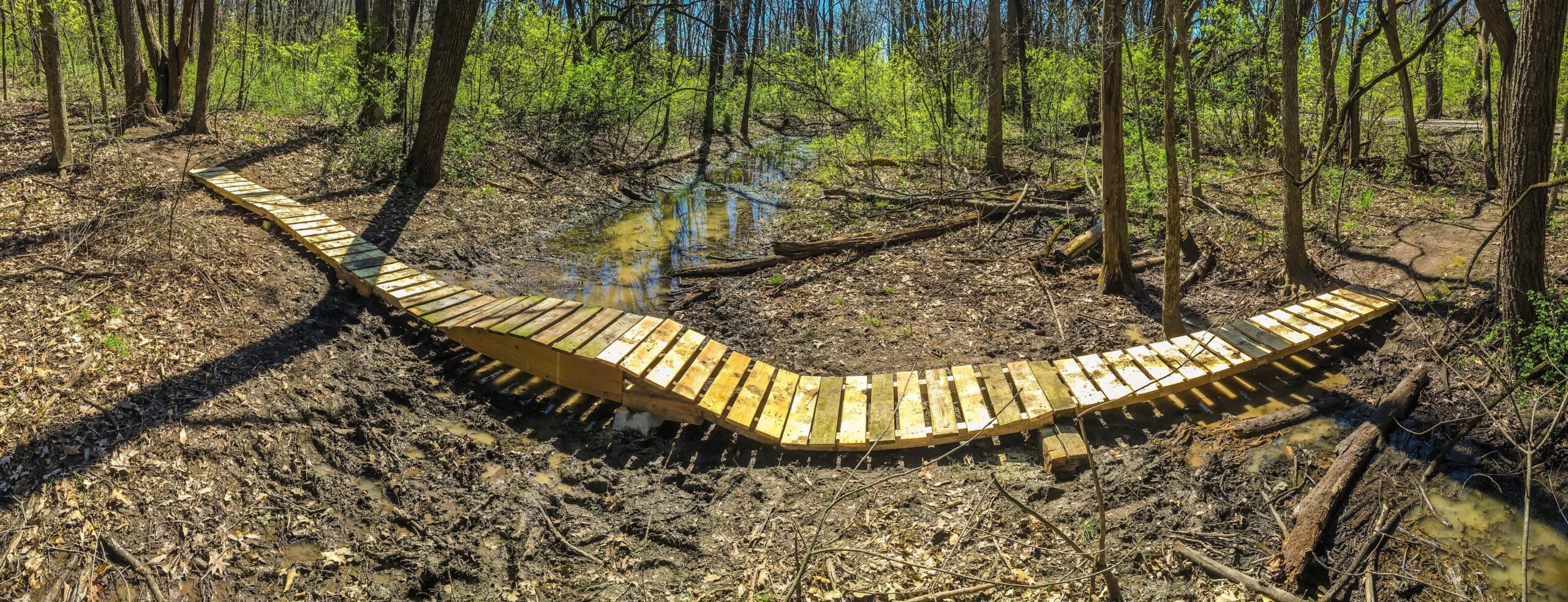 A wooden footbridge winding through a forested area, crossing a muddy creek. The bridge is surrounded by trees with budding leaves, and patches of sunlight filter through the branches, illuminating the landscape. Lake Storey Trail System mountain bike trail.