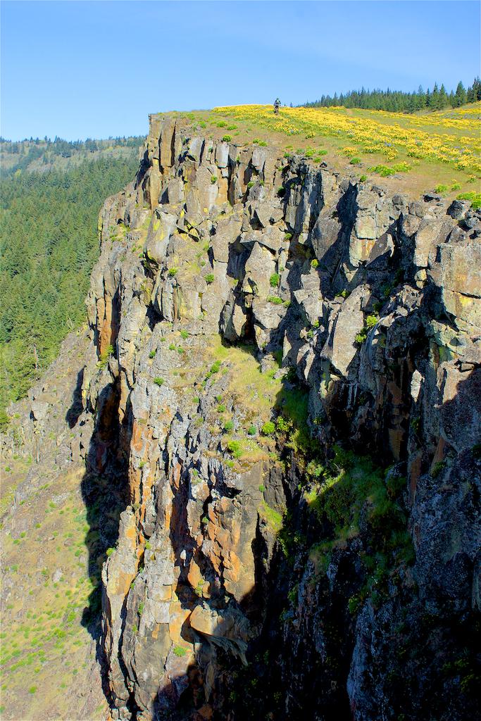 A scenic view of a rocky cliff edge surrounded by lush greenery and vibrant wildflowers under a clear blue sky. A person stands near the cliff's edge, overlooking the landscape below. Syncline mountain bike trail.