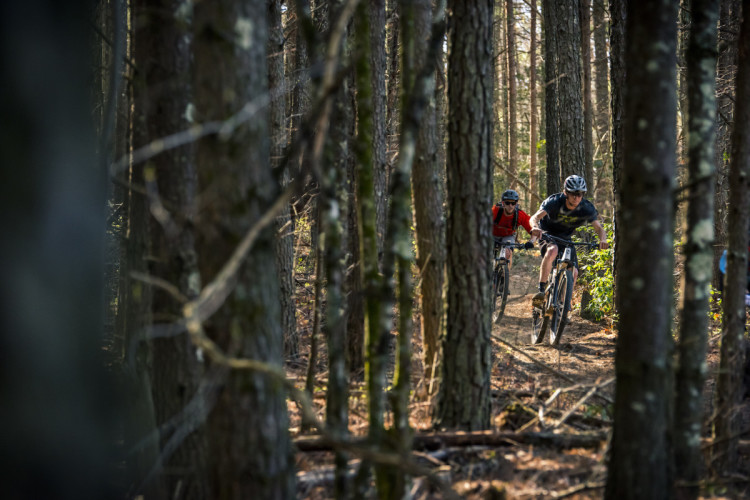 Two mountain bikers navigating a dirt trail through a wooded area, surrounded by tall trees and sunlight filtering through the branches. One biker wears a helmet and a blue shirt, while the other wears a red shirt and a helmet. The scene captures the thrill of outdoor biking in nature.
