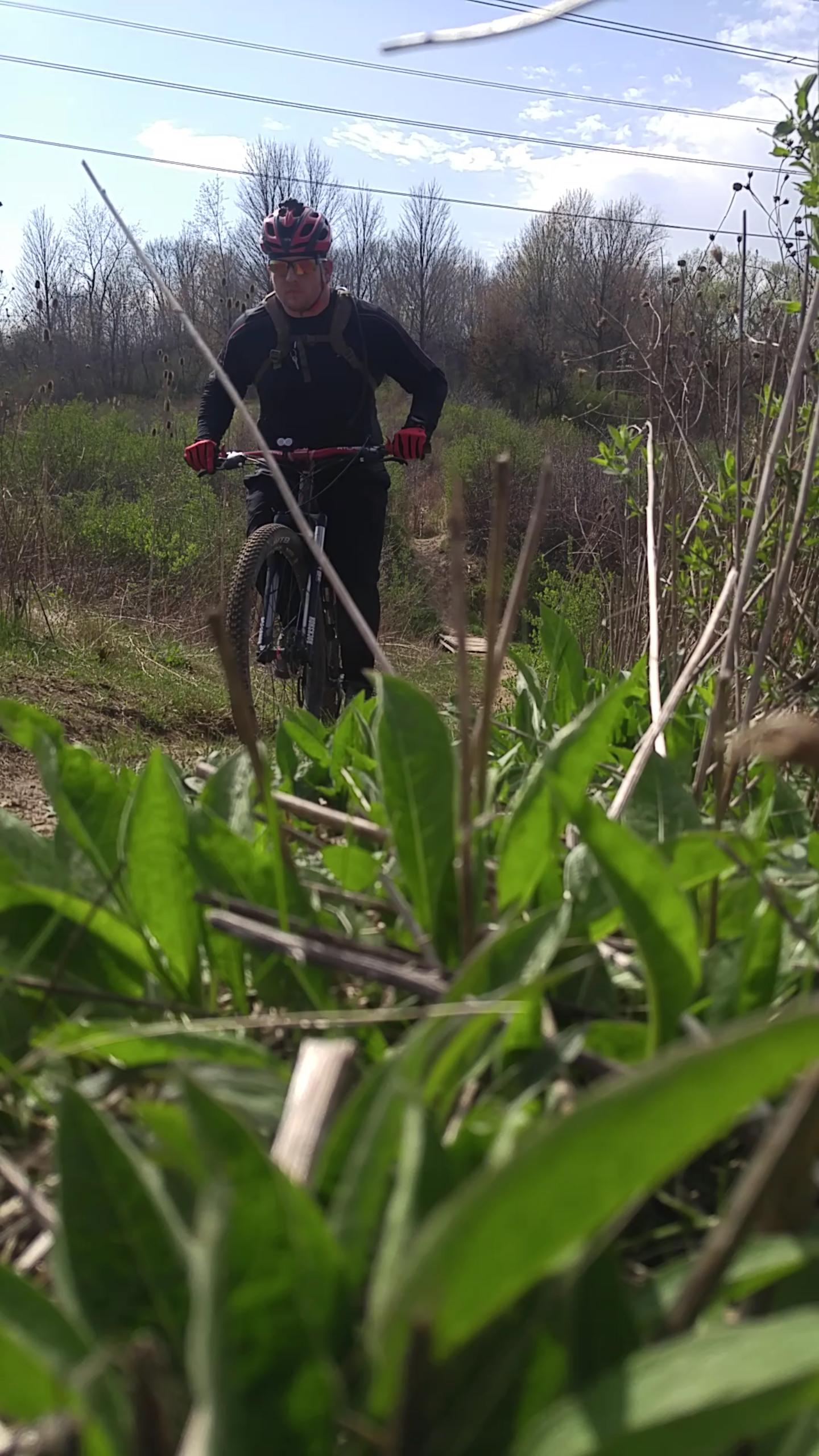 A mountain biker wearing a red helmet and sunglasses rides along a dirt trail surrounded by greenery and sparse vegetation. The focus of the image is on the biker, with lush green leaves and grass in the foreground. Morton-Taylor Trail mountain bike trail.