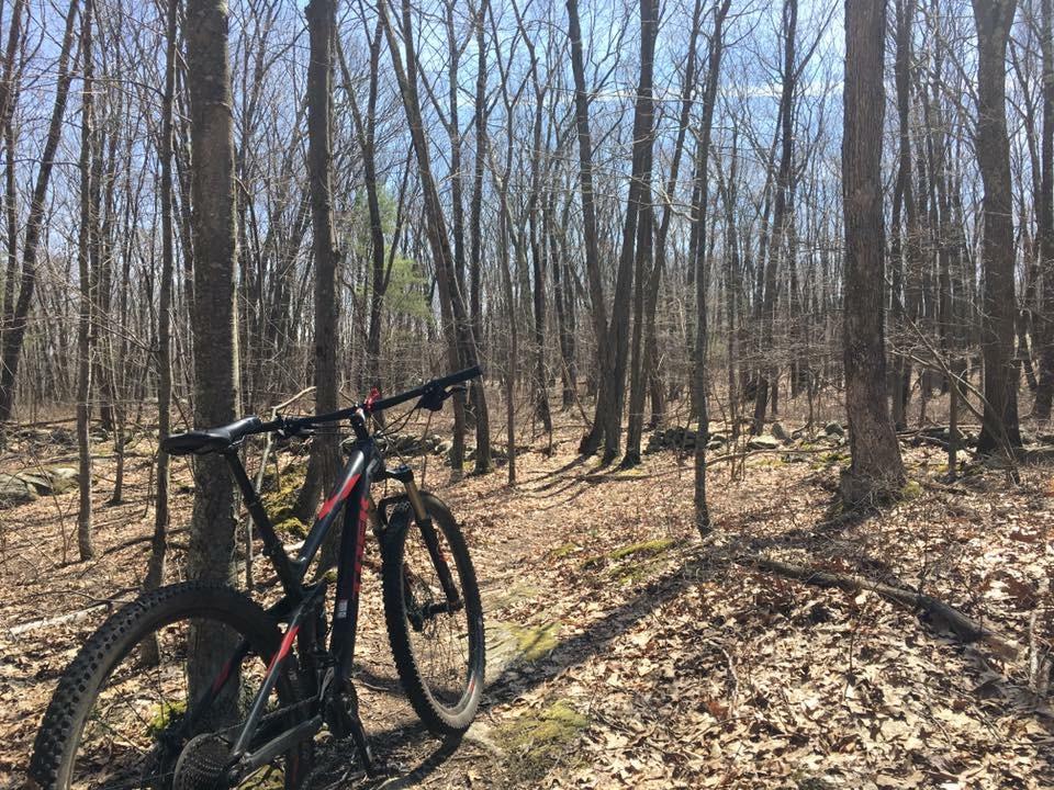A black mountain bike rests next to a dirt trail in a forested area, surrounded by tall, bare trees under a clear blue sky. Fallen leaves cover the ground, and scattered rocks can be seen in the background, indicating an untamed natural landscape. Vietnam Trails mountain bike trail.