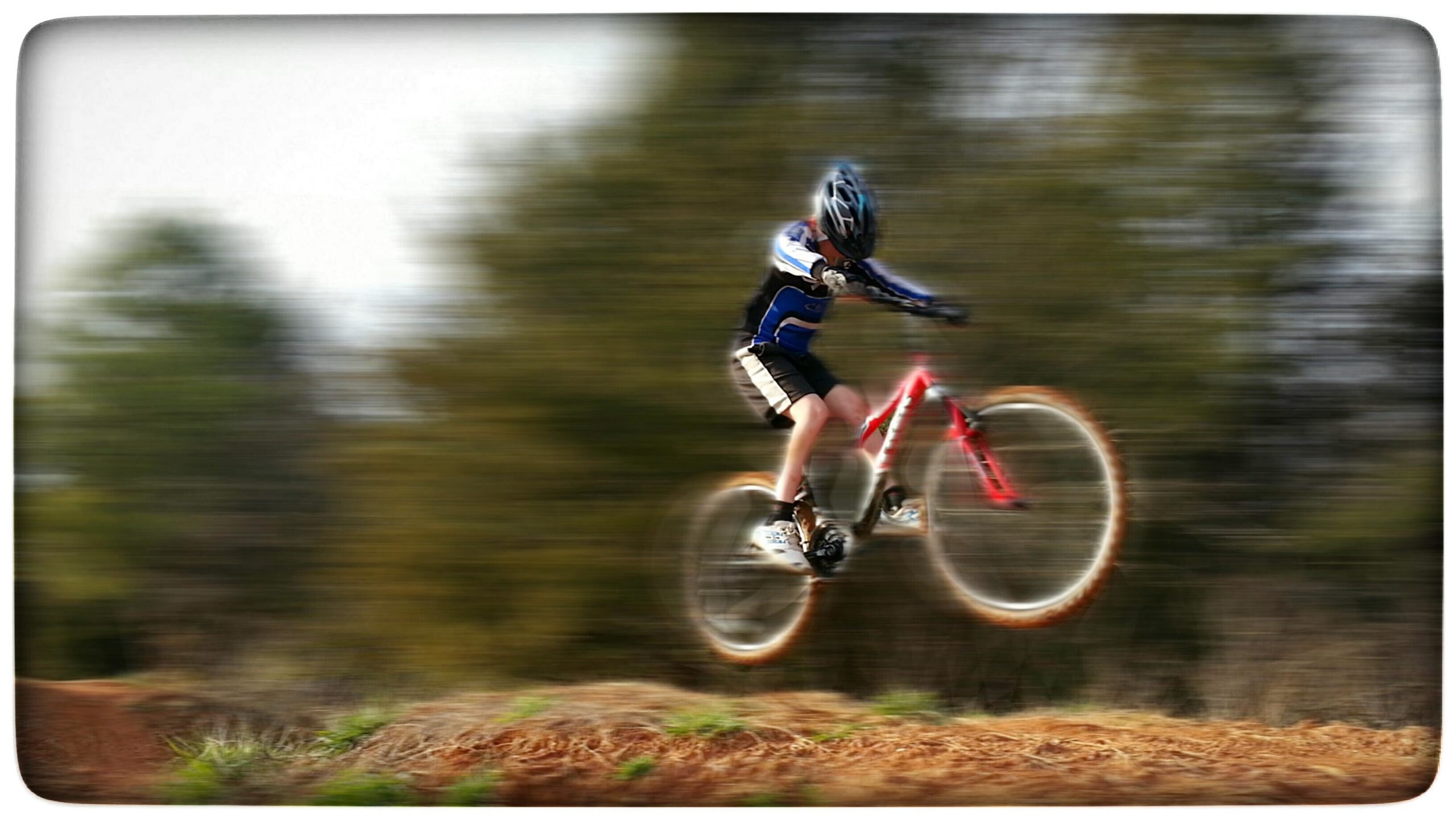 A young person in protective gear is captured mid-jump on a red mountain bike, with a blurred background suggesting high speed. The rider wears a blue and black jersey and black shorts, surrounded by natural greenery. Signal Hill mountain bike trail.