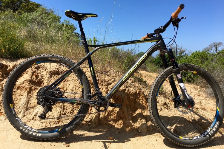 A mountain bike resting on sandy terrain, surrounded by lush green vegetation and blue skies. The bike features thick tires, a sleek frame, and a contrasting saddle, showcasing its design for off-road biking.