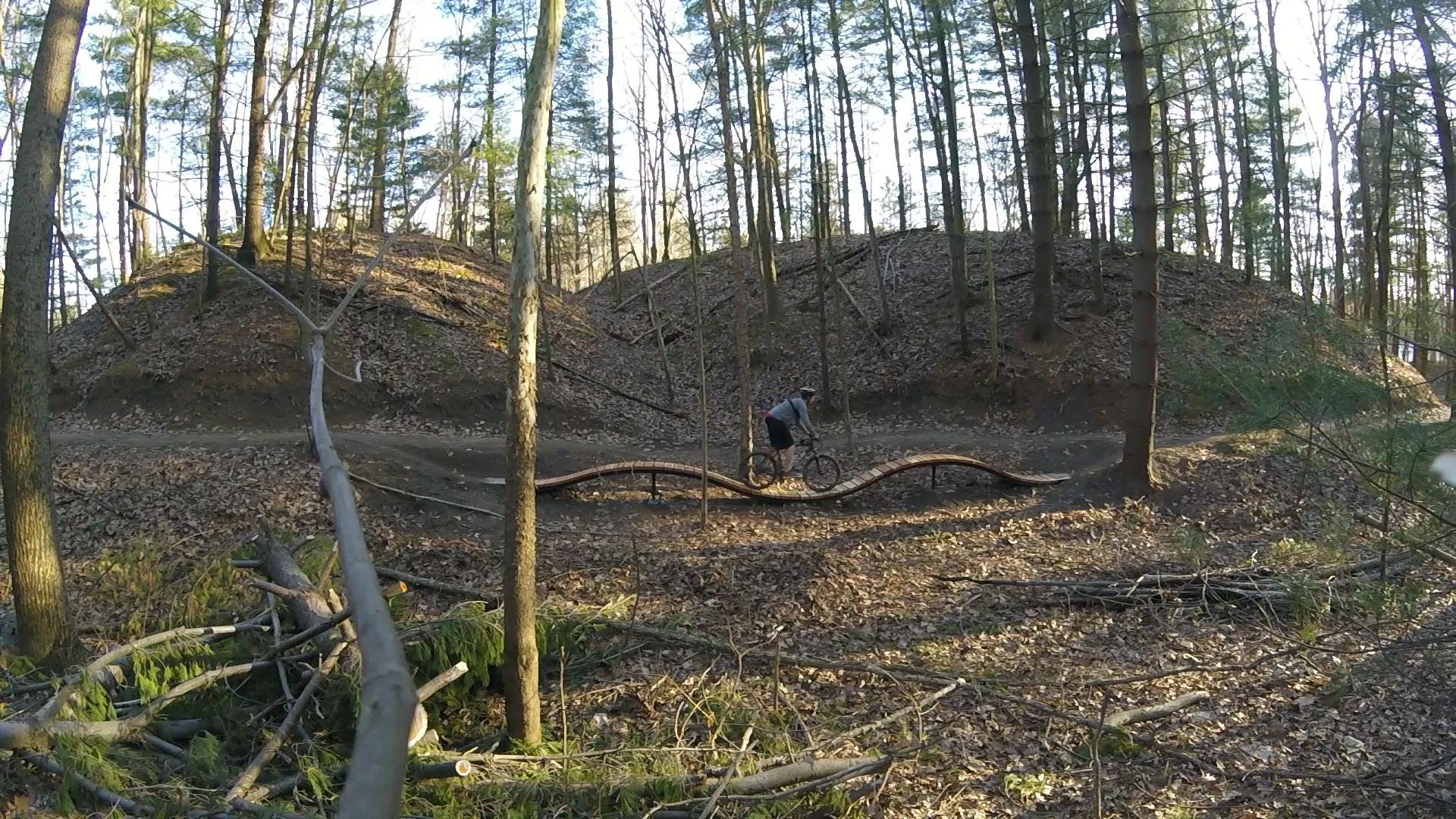A mountain biker navigating a wooden obstacle on a trail in a forested area, surrounded by trees and scattered leaves on the ground. The scene captures the biker in motion, demonstrating skill as they ride over the curved wooden feature amidst a natural setting. Griffin Bike Park mountain bike trail.