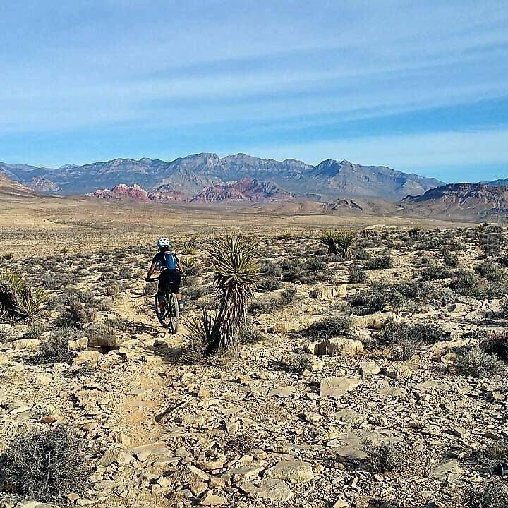 A person riding a mountain bike on a rugged trail surrounded by desert terrain, with a backdrop of distant mountains and a clear blue sky. Sparse vegetation and rock formations characterize the landscape. Man with a Van mountain bike trail.