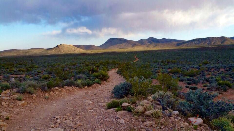 A winding dirt path leads through a desert landscape, surrounded by low shrubs and rocky terrain, with mountains in the background under a partly cloudy sky. Blue Diamond mountain bike trail.