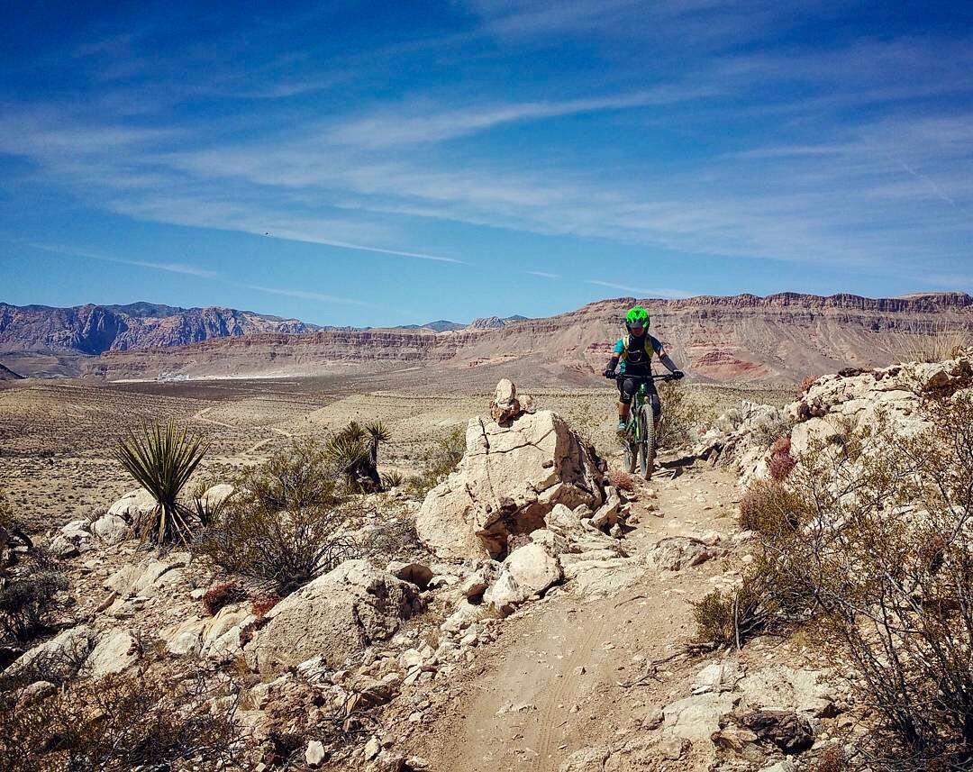 A mountain biker riding a rugged dirt trail through a desert landscape, surrounded by rocks and sparse vegetation, with colorful mountains under a clear blue sky in the background. The Stash mountain bike trail.