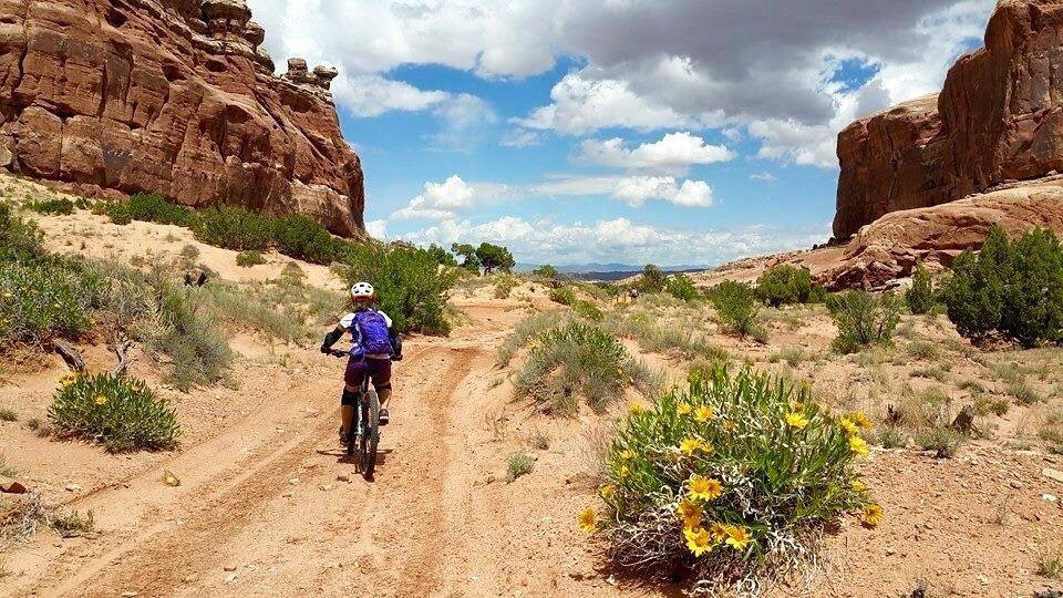 A person riding a mountain bike along a dirt path surrounded by rocky formations and desert vegetation, with blooming yellow flowers in the foreground and a partly cloudy blue sky overhead. Monitor & Merrimac Singletrack mountain bike trail.