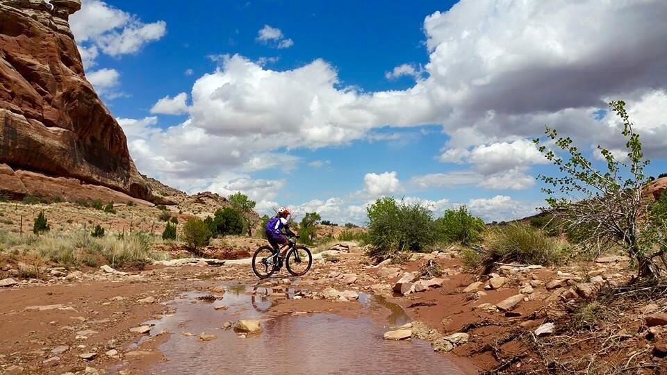 A mountain biker rides along a rocky trail with a shallow puddle in the foreground. Surrounding him are scattered shrubs and plants, with a backdrop of red rock formations and a bright blue sky filled with fluffy white clouds. Monitor & Merrimac Singletrack mountain bike trail.