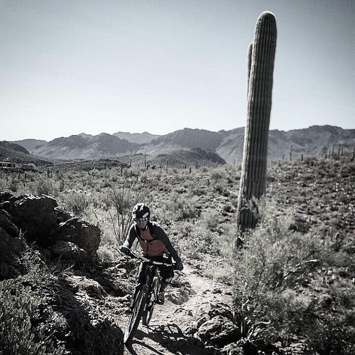 A mountain biker navigating a rugged trail in a desert landscape, surrounded by cacti and mountains in the background, under a clear sky. Sweetwater Preserve mountain bike trail.