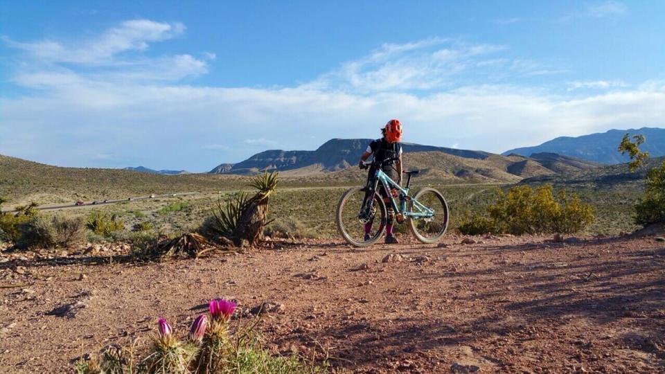 Trek Fuel EX 8: A person wearing a helmet and cycling gear stands beside a mountain bike on a dirt trail in a desert landscape. The background features rolling hills and mountains under a clear blue sky, with blooming pink flowers in the foreground.