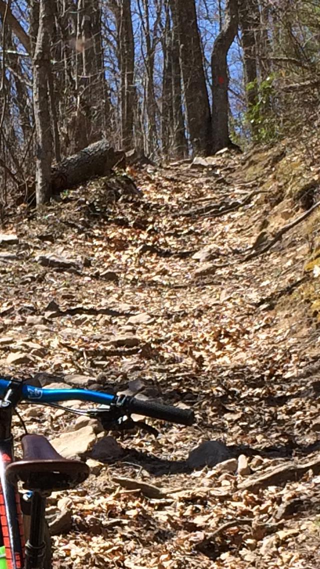 A rocky, uneven bike trail winding through a forest, with dry leaves scattered on the ground and trees lining the path. A mountain bike is partially visible in the foreground, leaning against the trail. The sun is shining, indicating clear weather. Iron Mountain mountain bike trail.