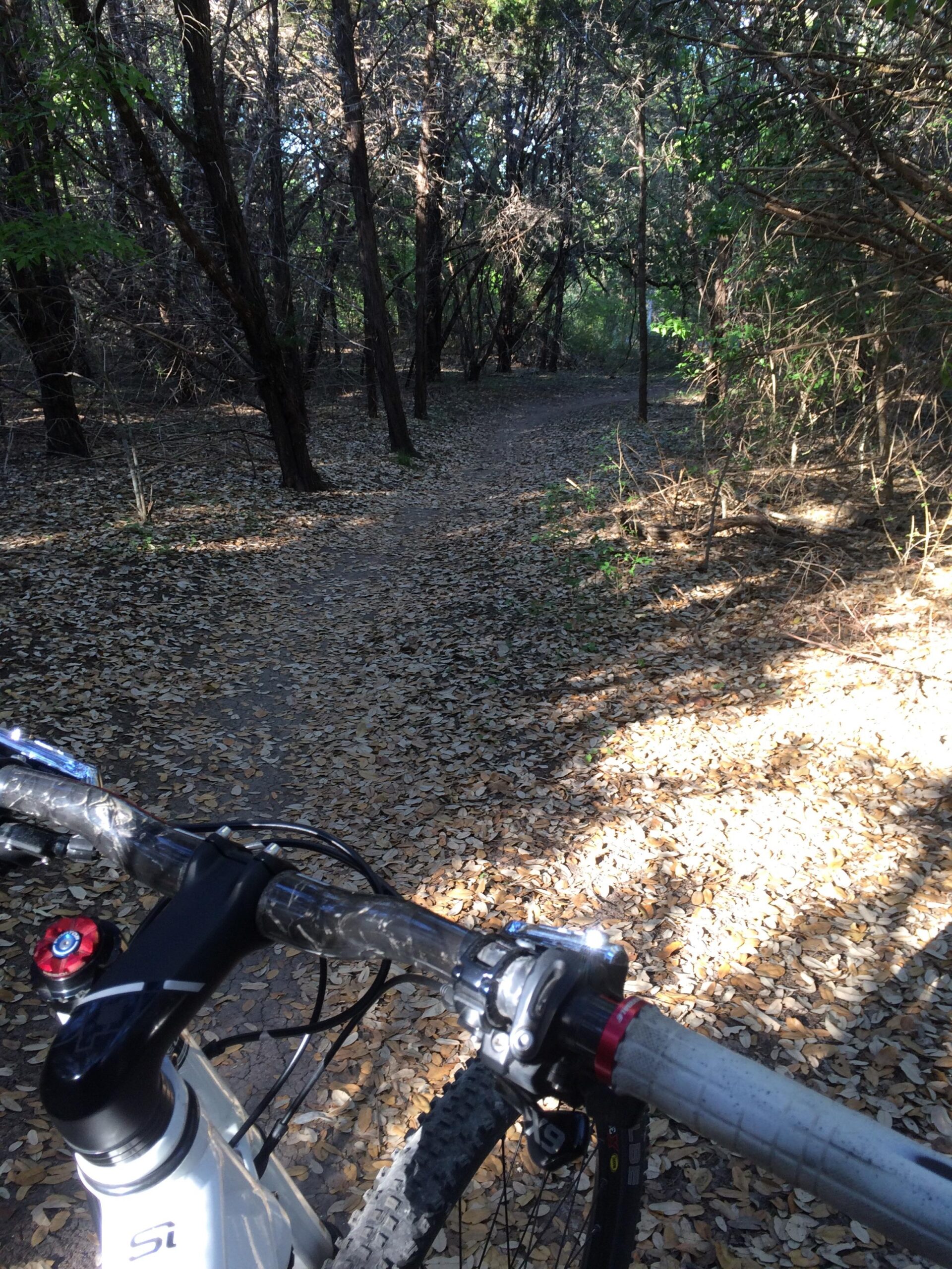 A close-up view of a mountain bike handlebars in a wooded area, with a dirt path winding through fallen leaves and trees. Sunlight filters through the branches, creating a serene outdoor atmosphere. Walnut Creek Trails mountain bike trail.