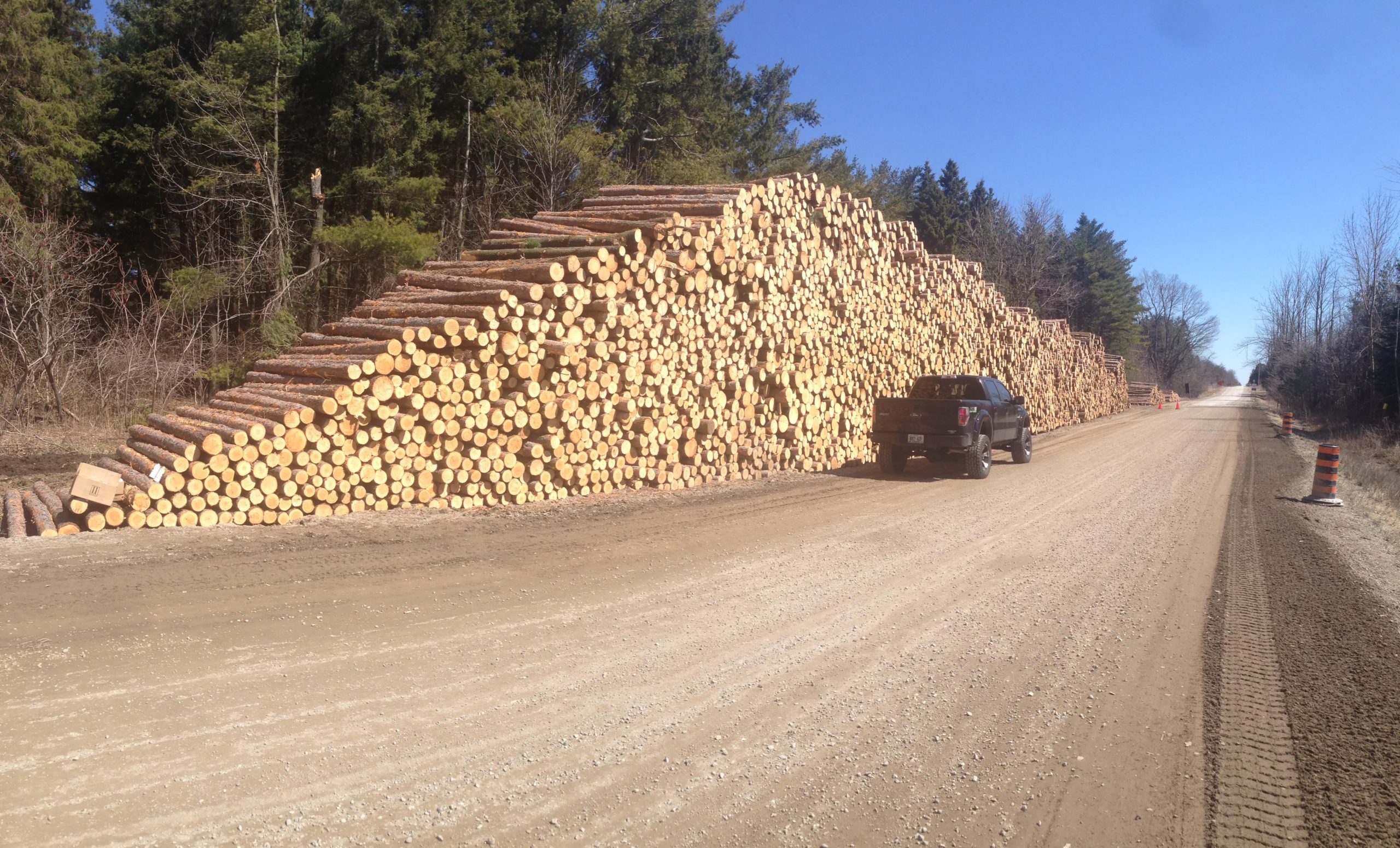 A truck parked beside a large stack of cut logs along a dirt road, with dense trees lining the background under a clear blue sky. Coulson's Hill mountain bike trail.