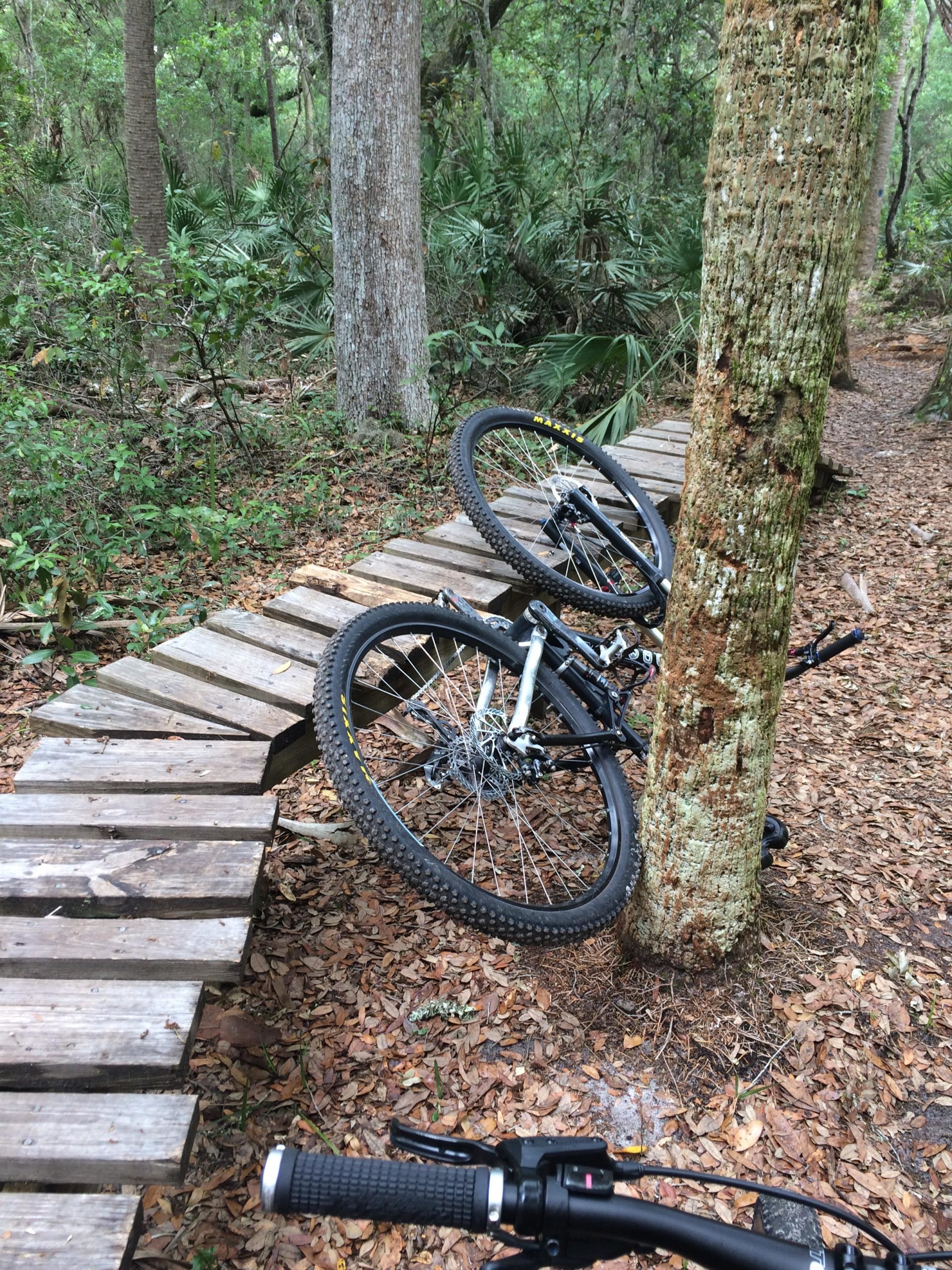 A mountain bike resting on a wooden trail that curves around a tree, surrounded by lush greenery and fallen leaves in a forest setting. Mala Compra mountain bike trail.