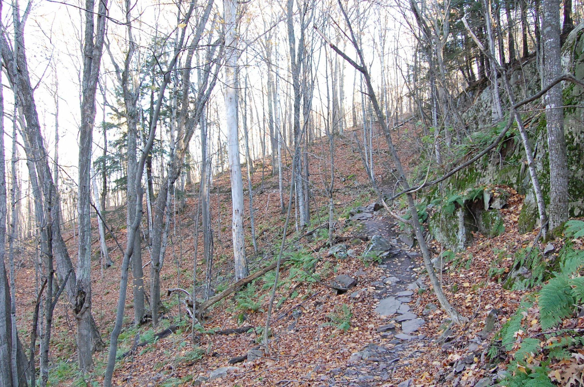 A winding dirt path through a forest, surrounded by tall trees with sparse foliage. The ground is covered with a layer of fallen leaves, and small patches of green ferns are visible among the rocks and autumnal scenery. The light is soft, suggesting a peaceful, early morning or late afternoon atmosphere. Noquemanon Trails Network: South Marquette Trails mountain bike trail.