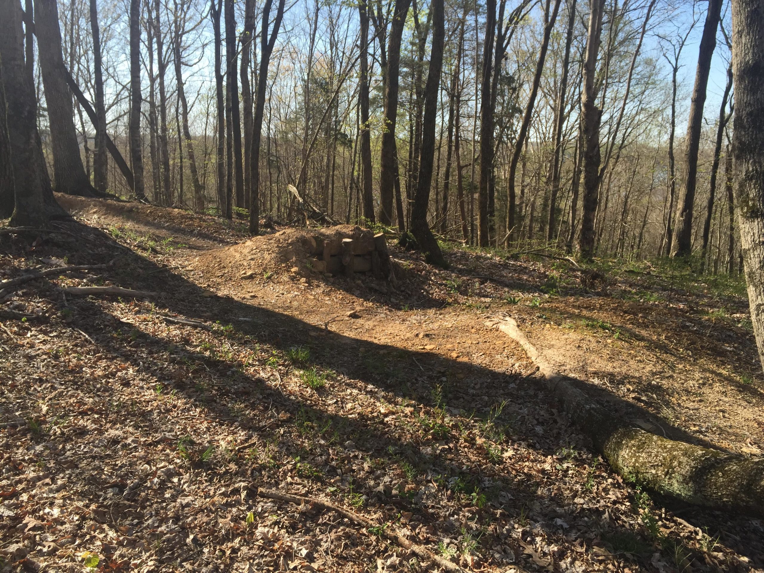 A scenic view of a wooded area with bare trees and a forest floor covered in dried leaves and small green plants. A dirt path winds through the trees, leading to a small mound made of stones. Sunlight filters through the branches, creating soft shadows on the ground. Green River mountain bike trail.